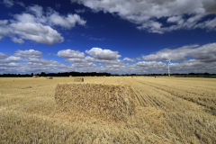 1-Square-Bales-Manea