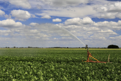 2-Crop-Spraying