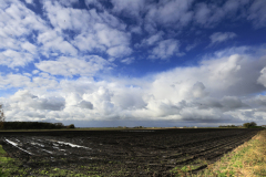 Summer view over fields of black soil