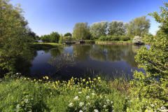 Summer Ferry Meadows