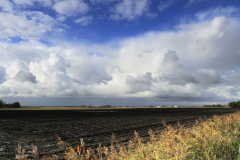 Summer view over fields of black soil