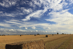 Square straw bales, Fenland field