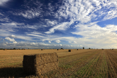 Square straw bales, Fenland field