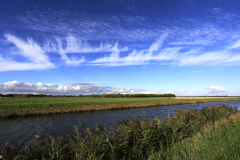 Summer view over Bevills Leam drain