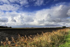 Summer view over fields of black soil