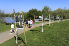 Summer Ferry Meadows