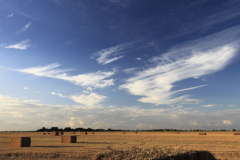 Square straw bales, Fenland field