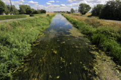 Summer; Whittlesey Dyke, Bedford Levels