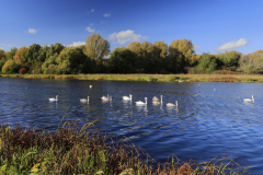 The rowing lake at Thorpe Meadows