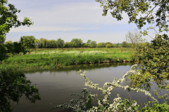 1-river-Nene-Ferry-Meadows