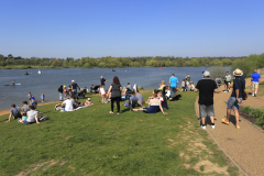 Summer view over Ferry Meadows