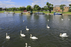 5-Boats-river-Nene-Embankment