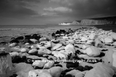 The 7 Sisters Chalk Cliffs, Birling Gap, Sussex