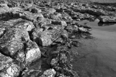 Dunstanburgh Castle, Northumberland