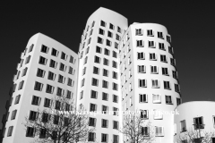 The Neuer Zollhof buildings, Düsseldorf