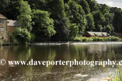 River Wear and Durham Cathedral, Durham