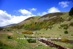 Blackseat Hill, Scald Hill, The Cheviot Hills