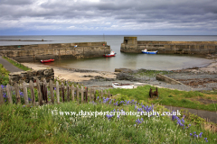 View over Craster village harbour