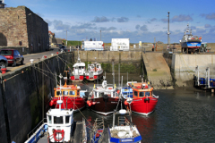 Fishing boats in Seahouses harbour