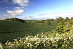 river Welland valley, Ridlington village