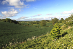 The river Welland valley, Ridlington village