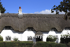 Summer cottages in Lyndhurst town