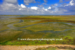 Keyhaven Marshes, Hurst Point,  Hurst Castle