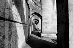 Summer view over Winchester Cathedral