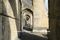 Summer view over Winchester Cathedral