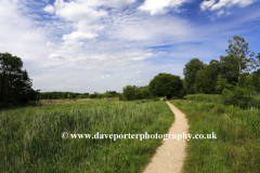 Winnall Moors Nature Reserve, Winchester