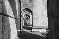 Summer view over Winchester Cathedral