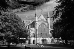 Summer view over Winchester Cathedral