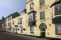 Daffodil flowers in window boxes, Deal town