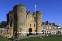 Daffodils on the green of Tonbridge Castle; Tonbridge