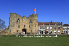 Daffodils on the green of Tonbridge Castle; Tonbridge