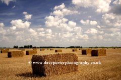 Straw bales in Fenland fields, Spalding