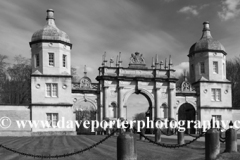 Daffodils, Bottle Gate, Burghley House, Stamford