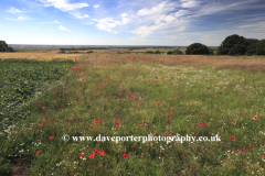 Lincolnshire Wolds near Mareham on the Hill