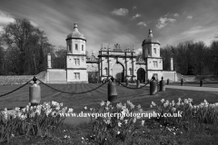 Daffodils, The Bottle Gates, Burghley House