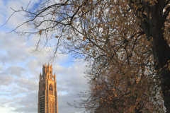 Dusk, St Botolphs church, Boston