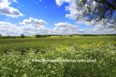 Summer view over the Lincolnshire Wolds