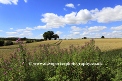 Summer view over the Lincolnshire Wolds