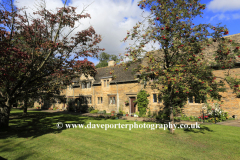 Cherry trees, the Lord Burghley Almshouses, Stamford