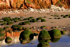 The beach and Brownstone Cliffs, Hunstanton