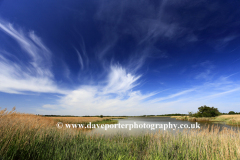 Summer,  Hickling Broad, Norfolk Broads