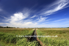 Summer,  Hickling Broad, Norfolk Broads