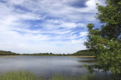 Summer, Filby Broad, Norfolk Broads