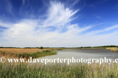 Summer,  Hickling Broad, Norfolk Broads