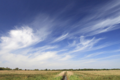 Summer,  Hickling Broad, Norfolk Broads