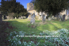 Snowdrops, Holy Trinity Church, Blatherwycke